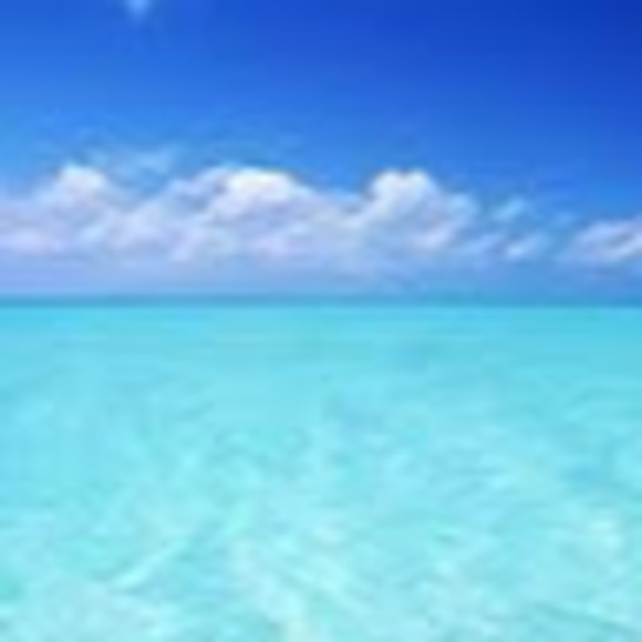 Meet your Posher, Jiji - Picture 1 of 1